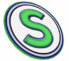 The Surveyors World